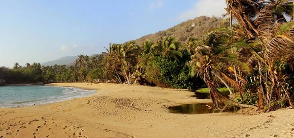 Tayrona Parkı, Plaj, Kolombiya