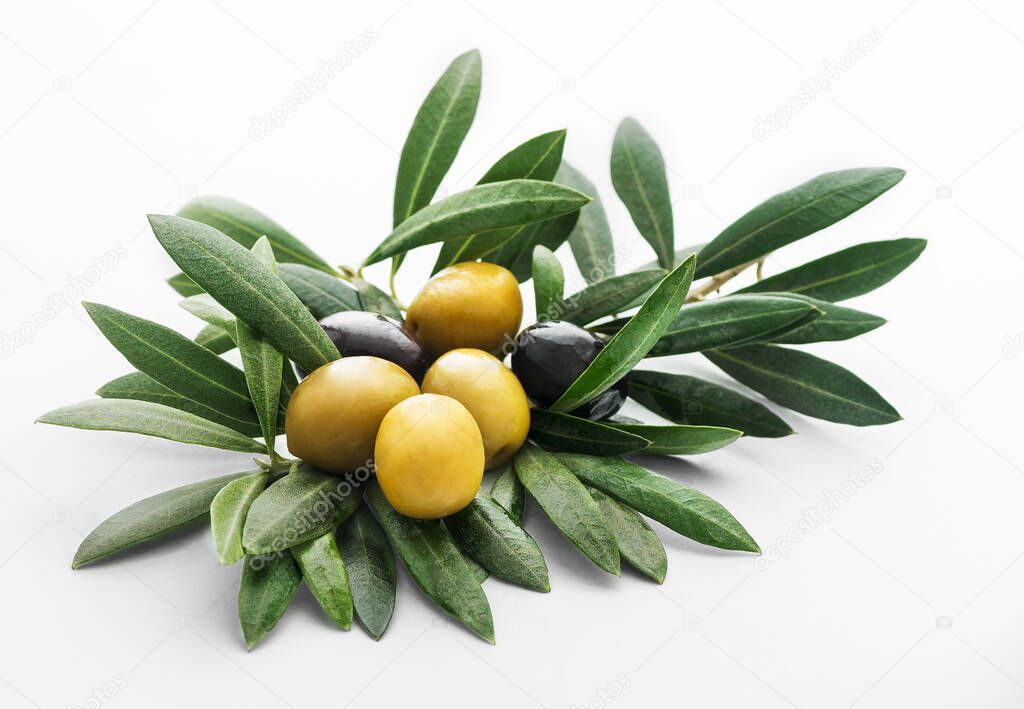 still life of black and green olives on olive leaves background