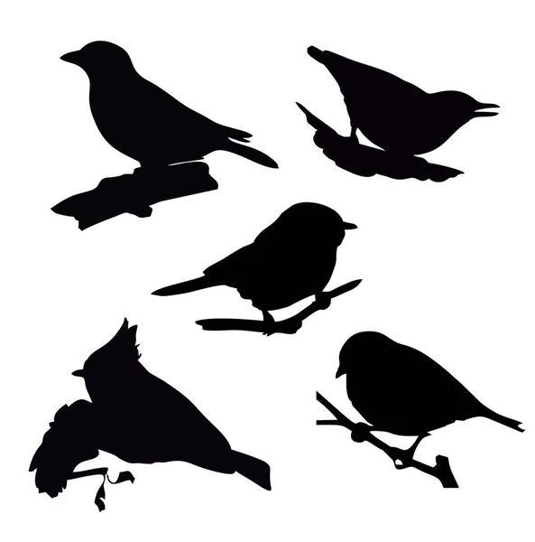Colección Vectorial Siluetas Aves — Archivo Imágenes Vectoriales