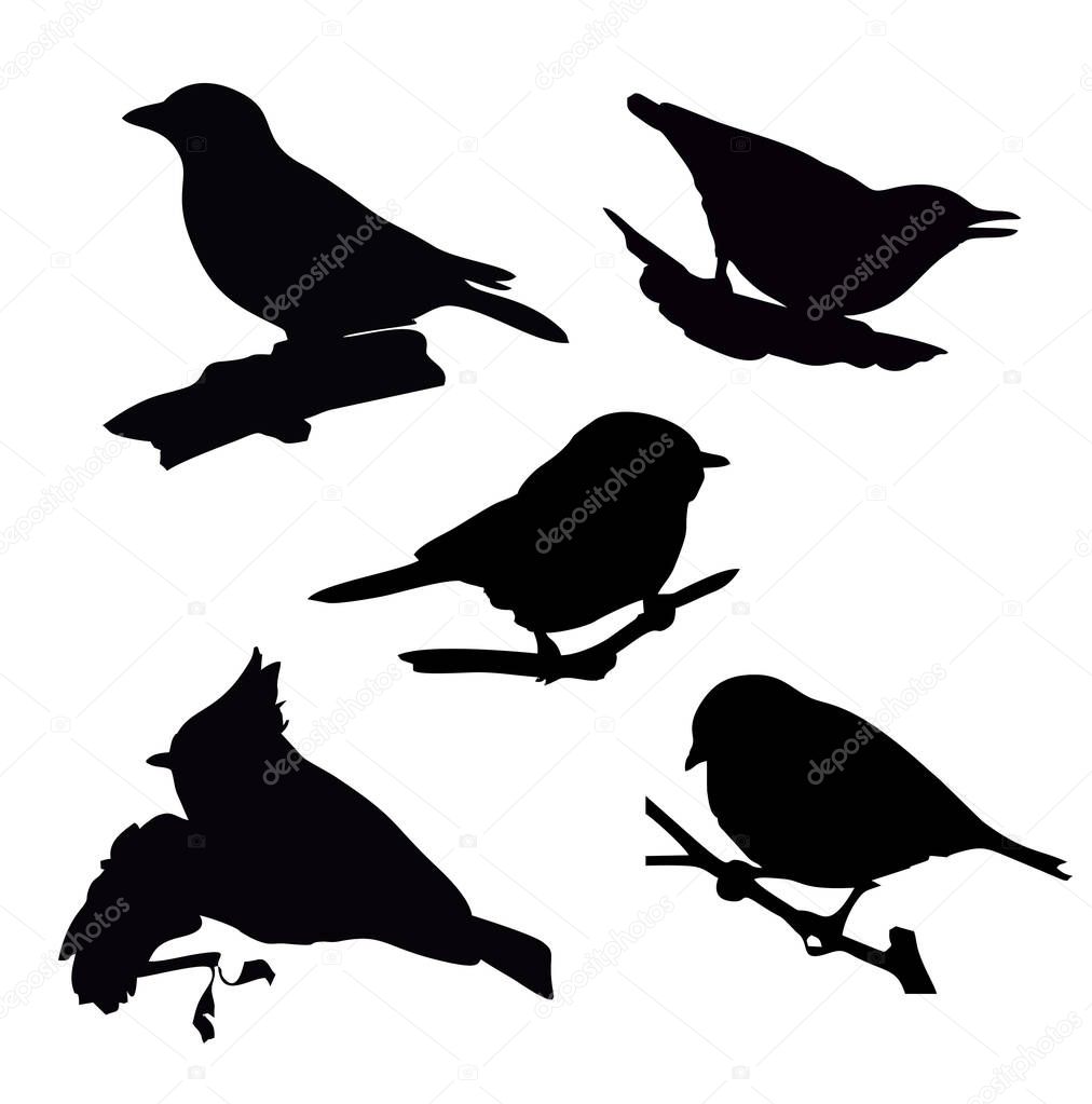 Vector Collection of Bird Silhouettes