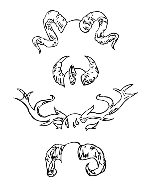Sammlung Handgezeichneter Hörner Verschiedener Tiere Skizze Hörner Von Hirschen Antilopen — Stockvektor