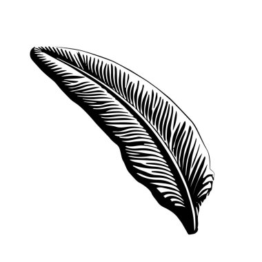 Eski ahşap kesim sanat tarzında klasik bir tüy kalem.