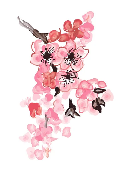 Takken Met Roze Bloemen Kersenknoppen Sakura Bloemblaadjes Vliegen Wind Geïsoleerd — Stockvector