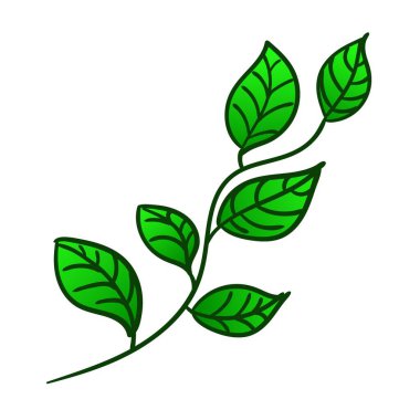 Taze yeşil yapraklı bir bahar dalı. Vektör illüstrasyonu
