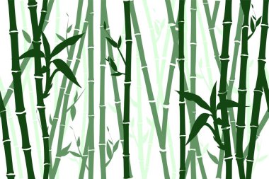 Çin ya da Japon bambu çimleri, doğu duvar kâğıdı çizimleri. Tropikal Asyalı arkaplan