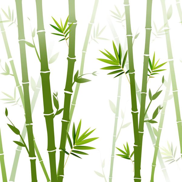 Vector background with green bamboo stems (seamless bamboo background, bamboo vector illustration, silhouette of bamboo trees background)