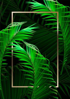 Hindistan cevizi ve muz yapraklı vektör tropikal bitkiler - vektör grafik