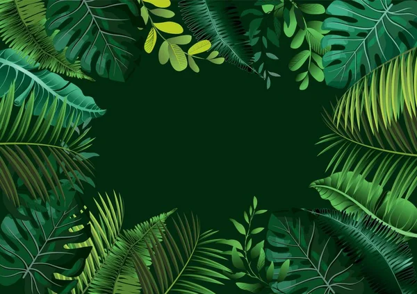 Векторные Тропические Ботанические Растения Кокосовыми Банановыми Листьями Векторная Графика — стоковый вектор