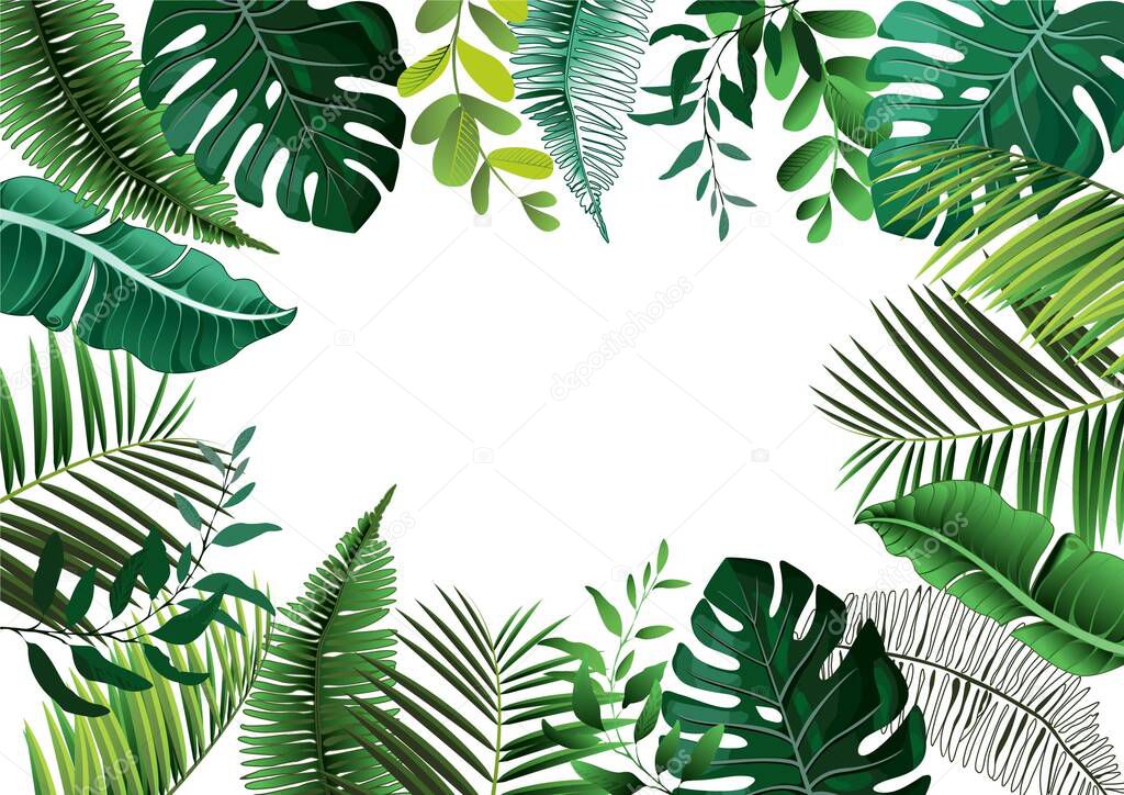 Vector tropical botanical plants with coconut and banana leaves - vector graphic