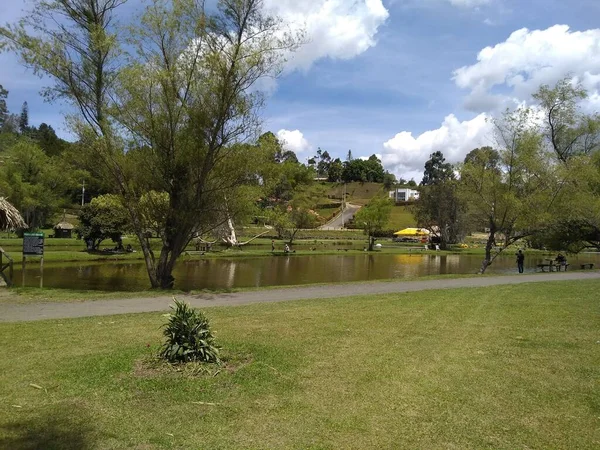 Paz Tranquilidad Una Herhaba Tarde — стоковое фото