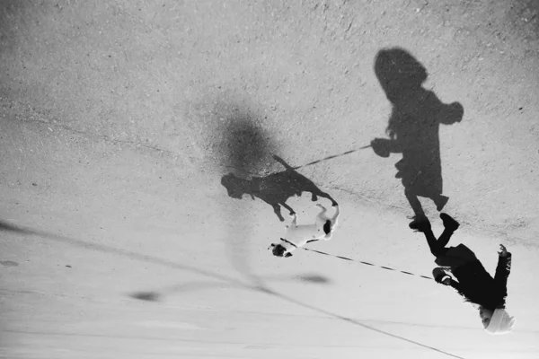 A girl runs with a dog at sunset. Shadows, Black and white photography.