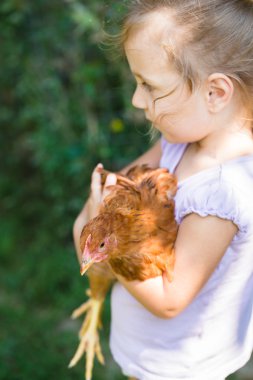 insanlar serisi: kırmızı tavuk ile küçük kız