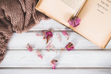 Bir kitap ve ahşap zemin üzerine sıcak bir eşarp ile kuru çiçekler