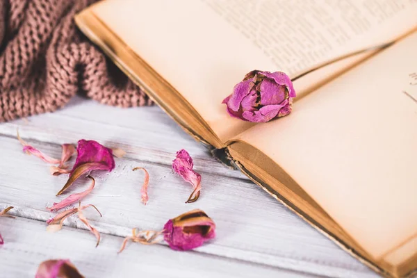 Dried flowers with a book and a warm scarf on wooden background — Stock Photo, Image