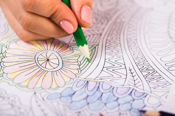 Kız boya kalemi ile yetişkinler için bir boyama kitabı boyalar