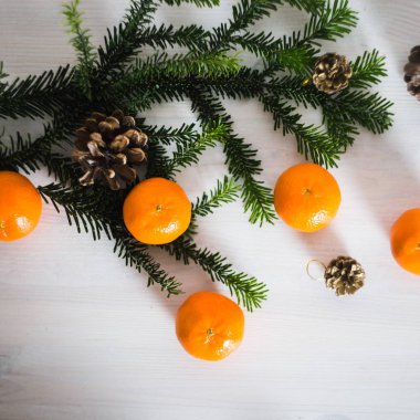 Çam dalları ve koniler ile taze mandalina