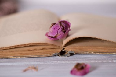 Kuru çiçekler ve ahşap arka plan üzerinde kitap