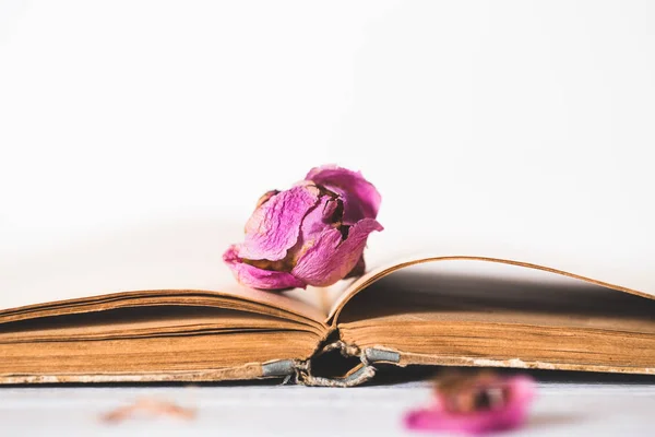 Dried flowers and book on wooden background — Stock Photo, Image