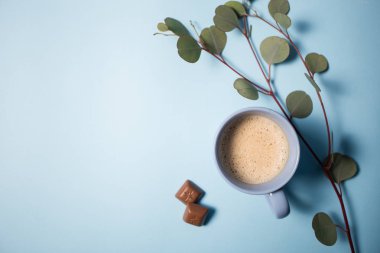 Kahve çikolata parçaları ve okaliptüs şube mavi bir arka plan üzerinde