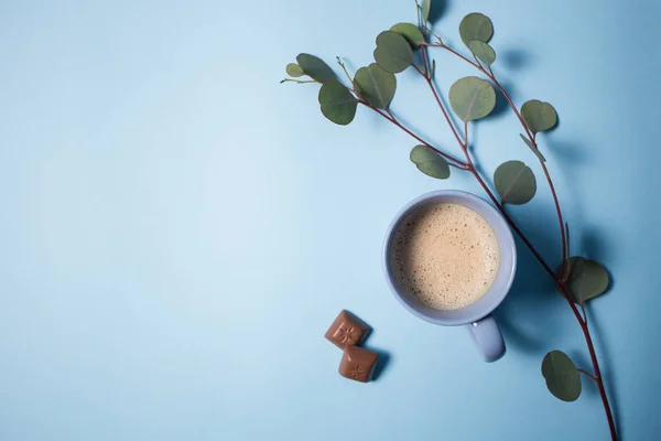 Kawa z kawałkami czekolady i eukaliptusa gałąź na niebieskim tle — Zdjęcie stockowe