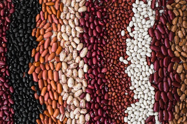 Different varieties of bean seeds. Beans background. Stock Photo