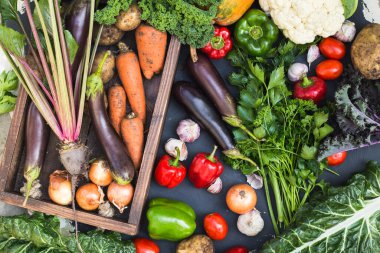 Taze sebze çeşitleri. Havuç sarımsak, bezelye, lahana, soğan, salatalık, havuç, beton ve turp..