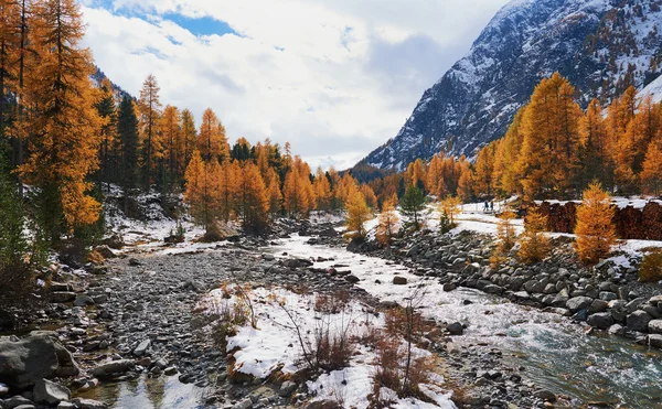 Paisagem montanhosa no outono — Fotografia de Stock