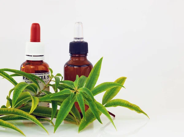 Bottles of plant extracts — Stock Photo, Image