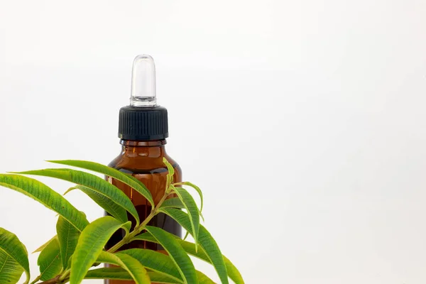Bottle of plant extracts — Stock Photo, Image