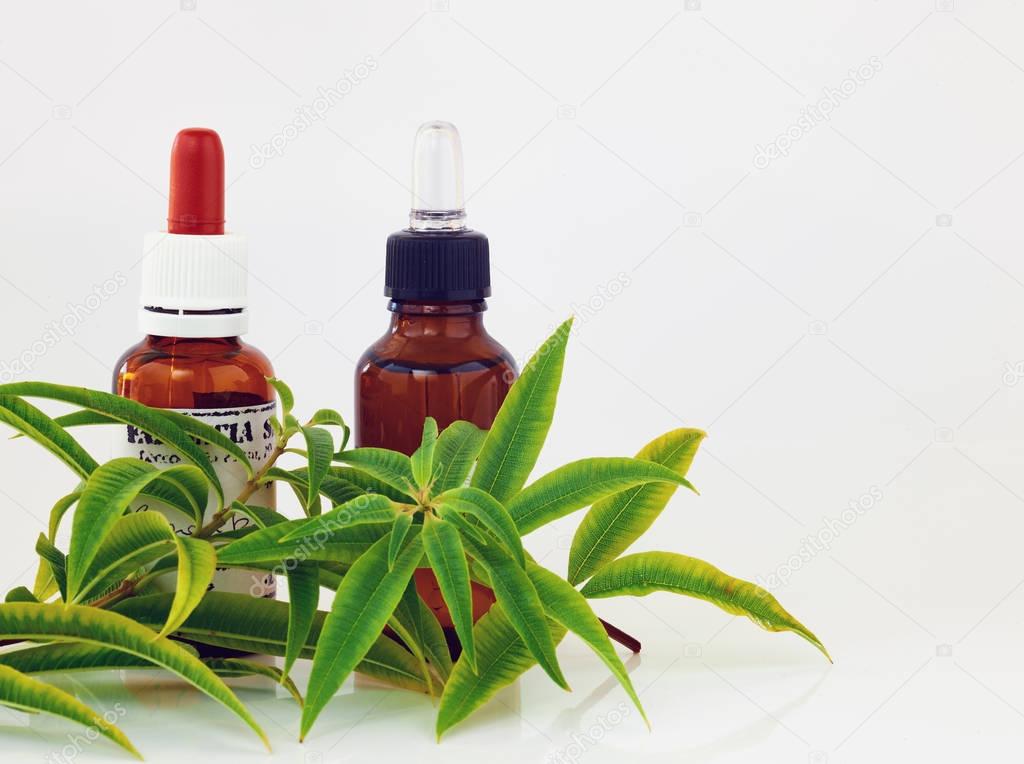 Bottles of plant extracts