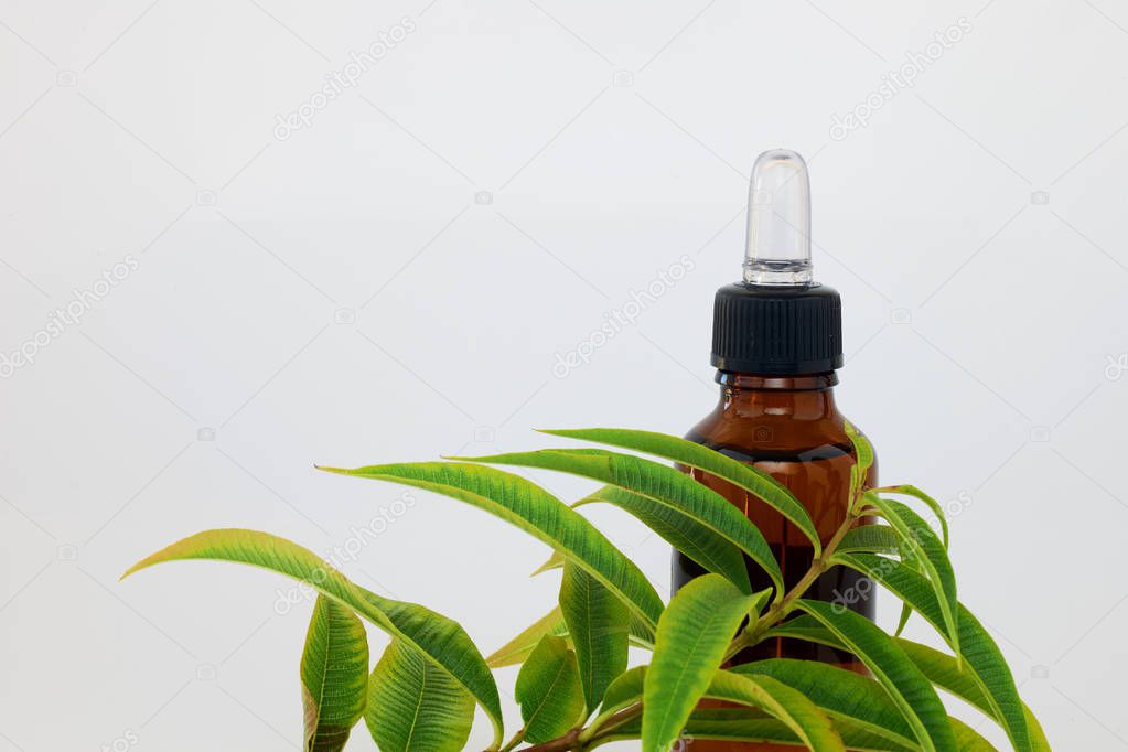 Bottle of plant extracts