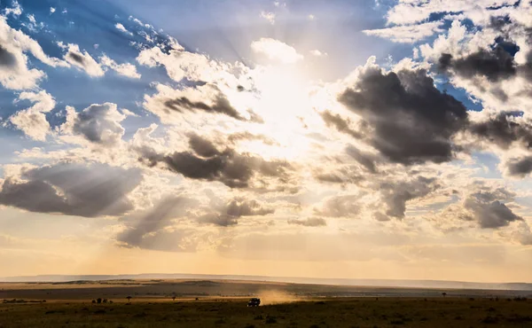 Safari in Africa — Stock Photo, Image