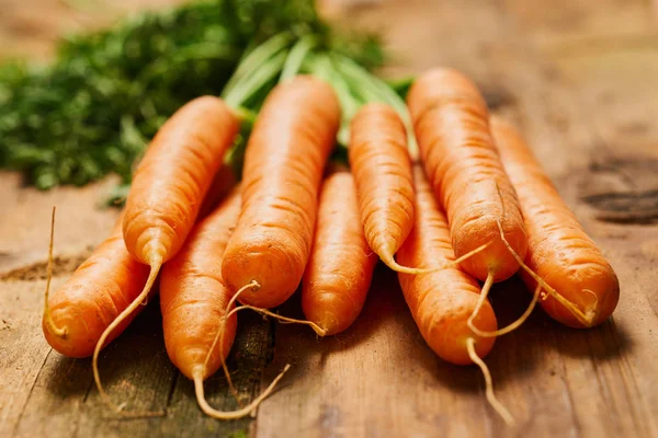 Fresh orange carrots — Stock Photo, Image