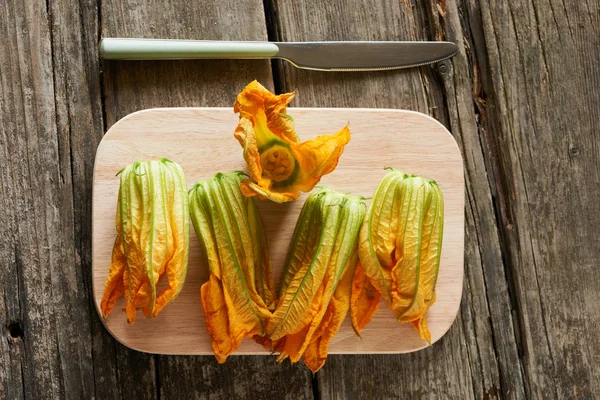 Flor de calabaza fresca — Foto de Stock