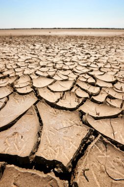 kurak ve atık toprak