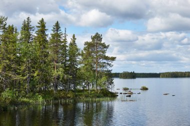 Güzel Finlandiya manzarası