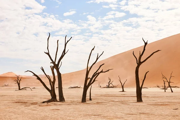 Deadvlei no deserto da Namíbia — Fotografia de Stock