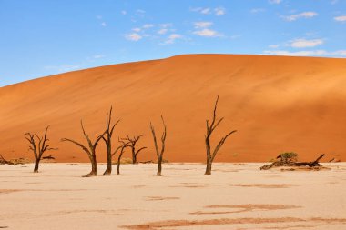 Namibya çöl manzarası