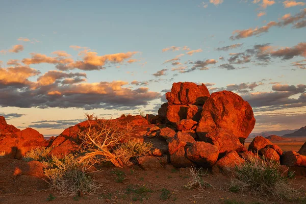 Vackra namibiska landskap — Stockfoto