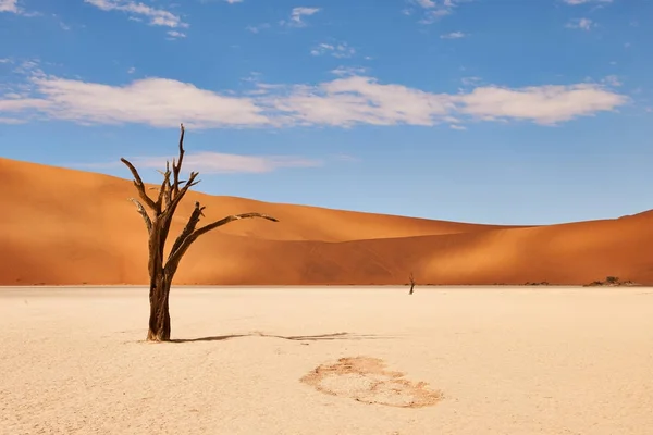 Намібійським пустельний ландшафт — стокове фото