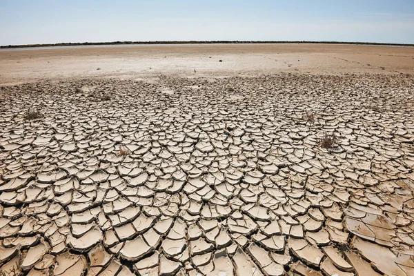 Tierras áridas y baldías —  Fotos de Stock