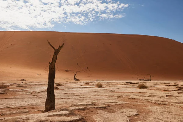 Ναμίμπια τοπίο ερήμων — Φωτογραφία Αρχείου