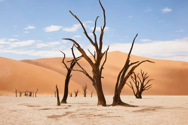 Paisagem do deserto da Namíbia — Fotografia de Stock