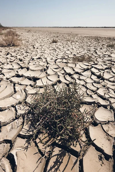 Arid and waste land, matte style — Stock Photo, Image