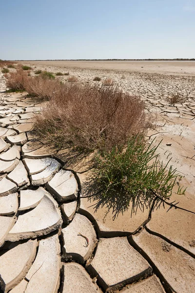 Terres arides et déchets — Photo