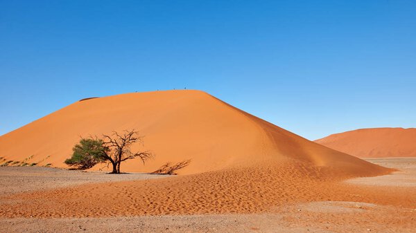 Namibian desert landscape