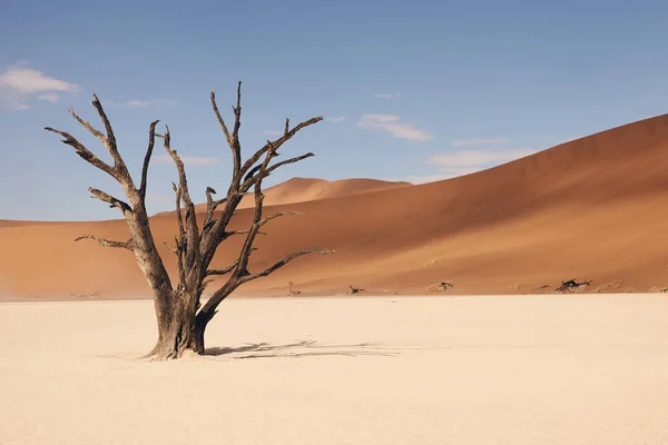 Namibische Wüstenlandschaft, matter Stil. — Stockfoto