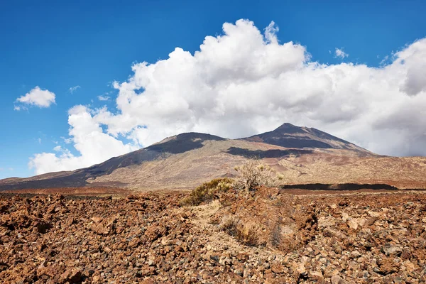 Teide vulkán itt: Tenerife — Stock Fotó
