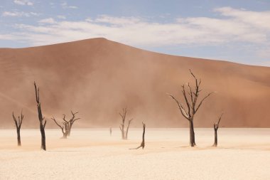Deadvlei 'deki Namib çölünün güzel manzarası.