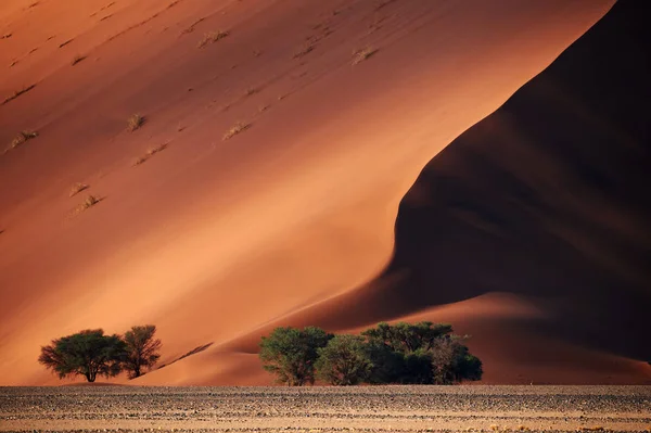 Bardzo Wysokie Czerwone Wydmy Pustyni Namib — Zdjęcie stockowe